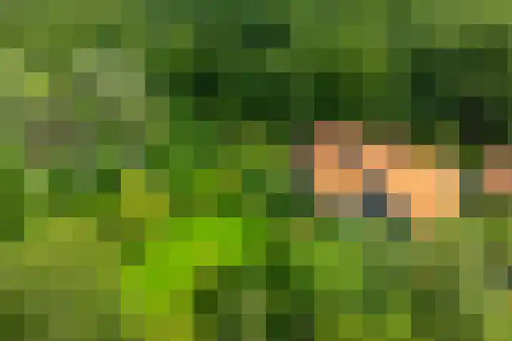 Leeferdinklaan 4 Winterswijk Ratum thumbnail 5