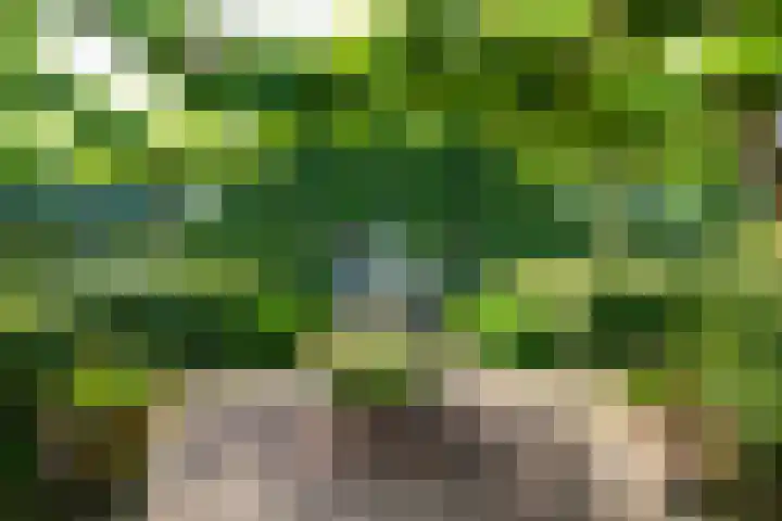 Leeferdinklaan 4 Winterswijk Ratum thumbnail 53