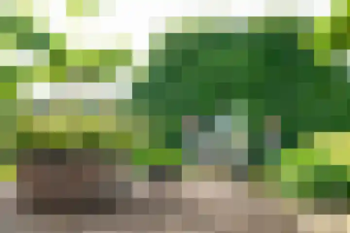 Leeferdinklaan 4 Winterswijk Ratum thumbnail 55