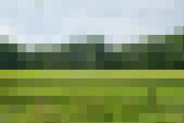 Leeferdinklaan 4 Winterswijk Ratum thumbnail 57