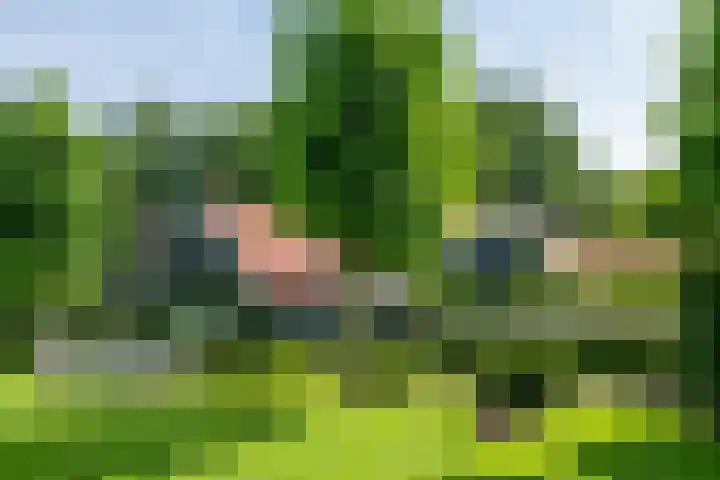 Leeferdinklaan 4 Winterswijk Ratum thumbnail 66