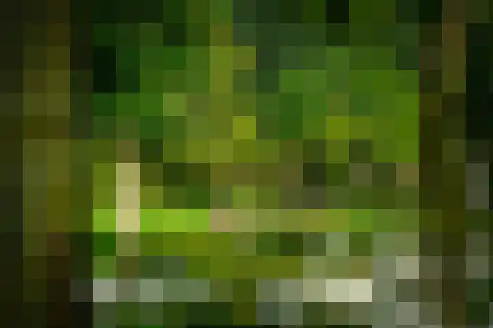 Leeferdinklaan 4 Winterswijk Ratum thumbnail 67