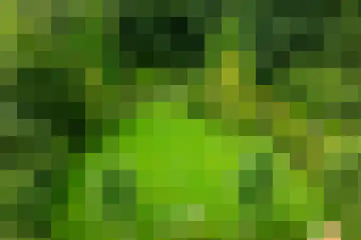 Leeferdinklaan 4 Winterswijk Ratum thumbnail 7