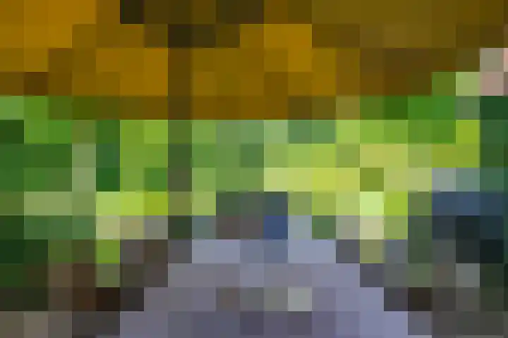 Leeferdinklaan 4 Winterswijk Ratum thumbnail 72