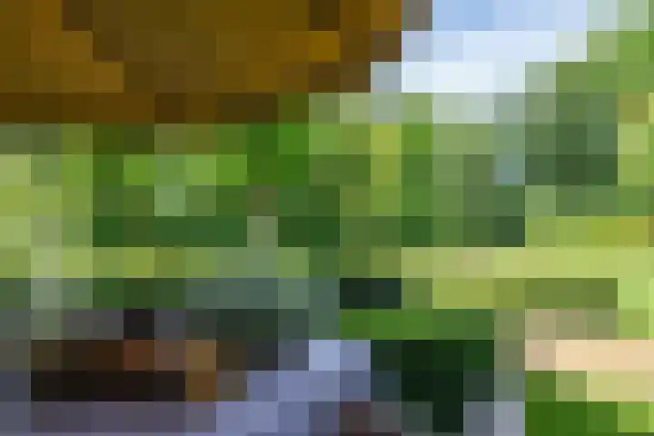 Leeferdinklaan 4 Winterswijk Ratum thumbnail 73