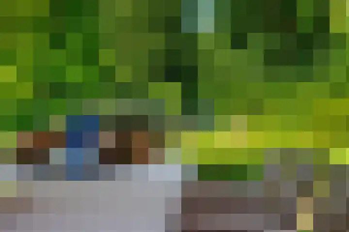 Leeferdinklaan 4 Winterswijk Ratum thumbnail 82