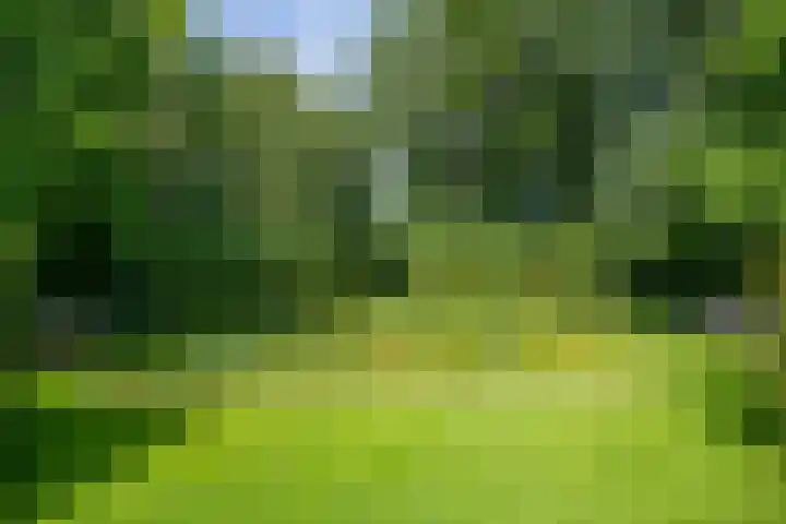 Leeferdinklaan 4 Winterswijk Ratum thumbnail 84