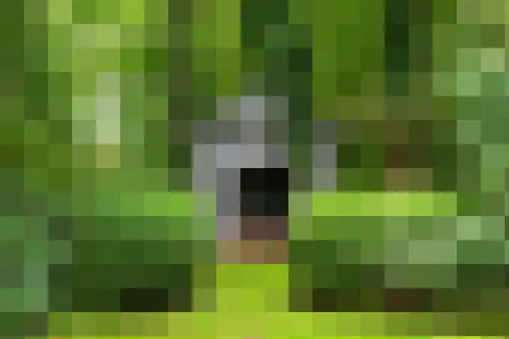 Leeferdinklaan 4 Winterswijk Ratum thumbnail 87