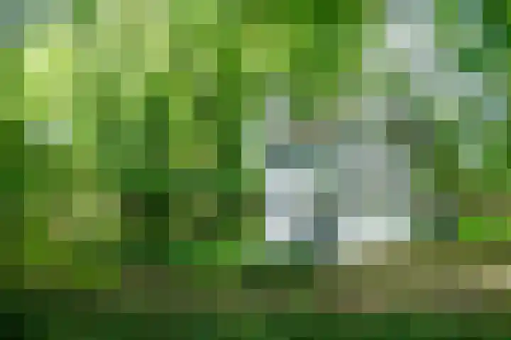Leeferdinklaan 4 Winterswijk Ratum thumbnail 88