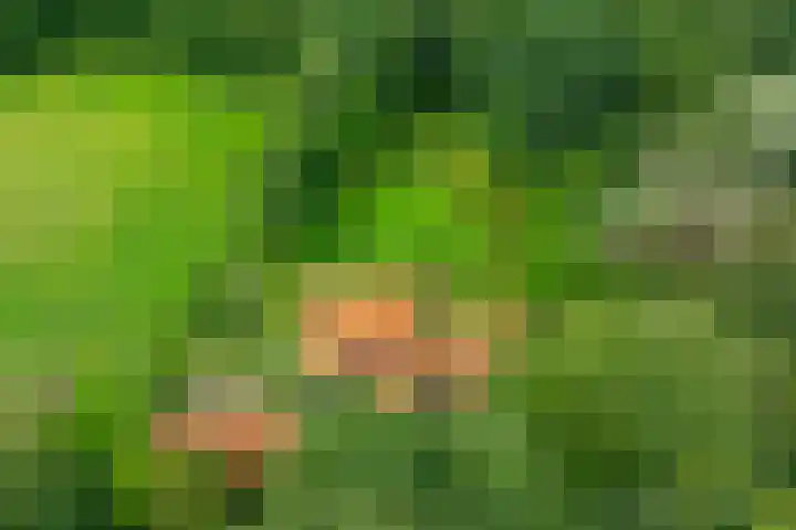 Leeferdinklaan 4 Winterswijk Ratum thumbnail 9