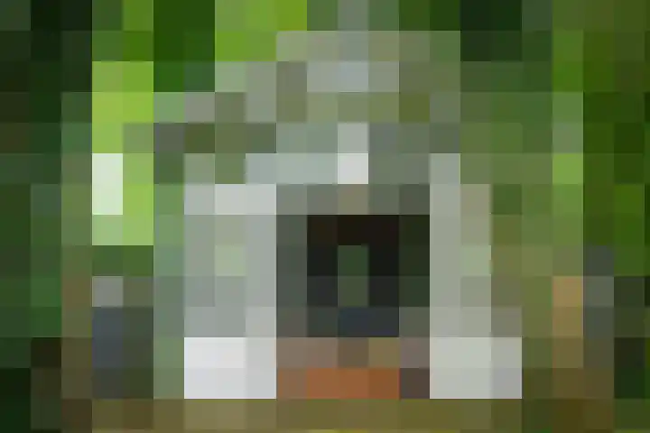 Leeferdinklaan 4 Winterswijk Ratum thumbnail 94