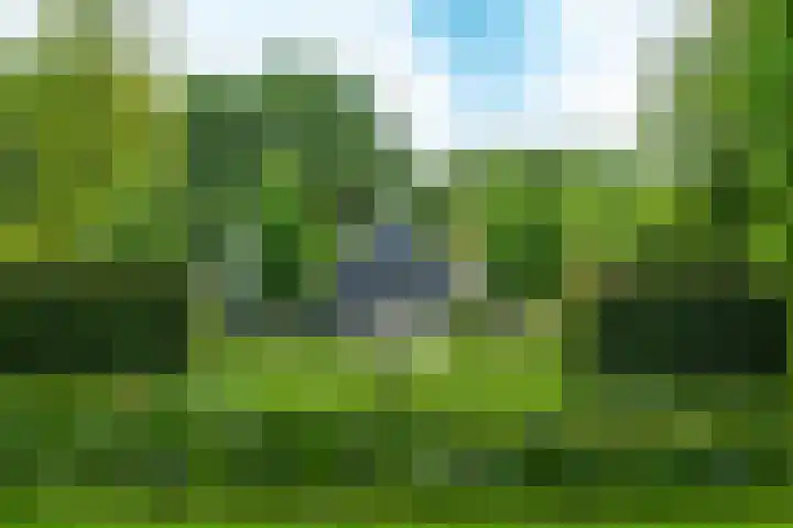 Leeferdinklaan 4 Winterswijk Ratum thumbnail 98