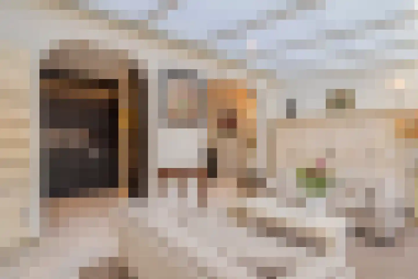 Leeg Bemden 10 Herten thumbnail 15