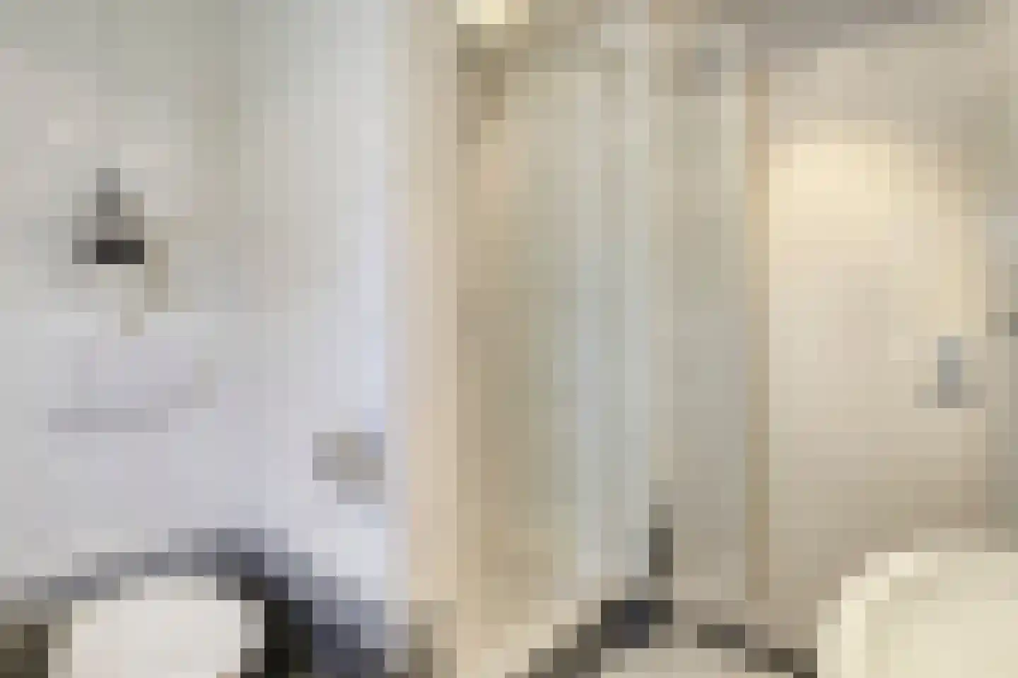 Leeg Bemden 10 Herten thumbnail 27