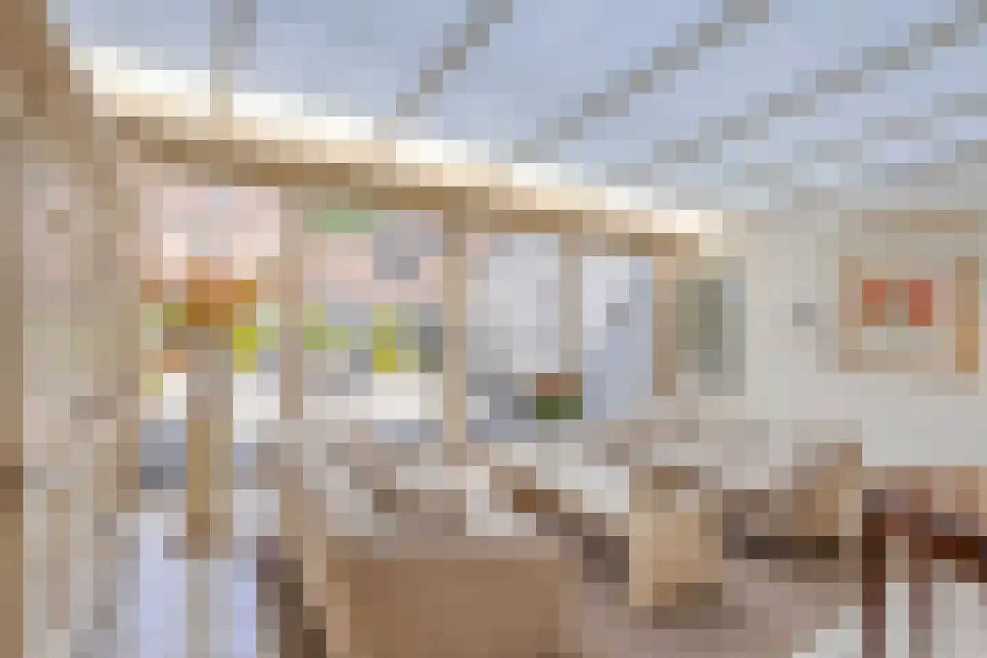 Leeg Bemden 10 Herten foto 3