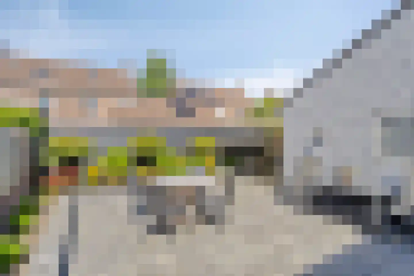 Leeg Bemden 10 Herten thumbnail 34