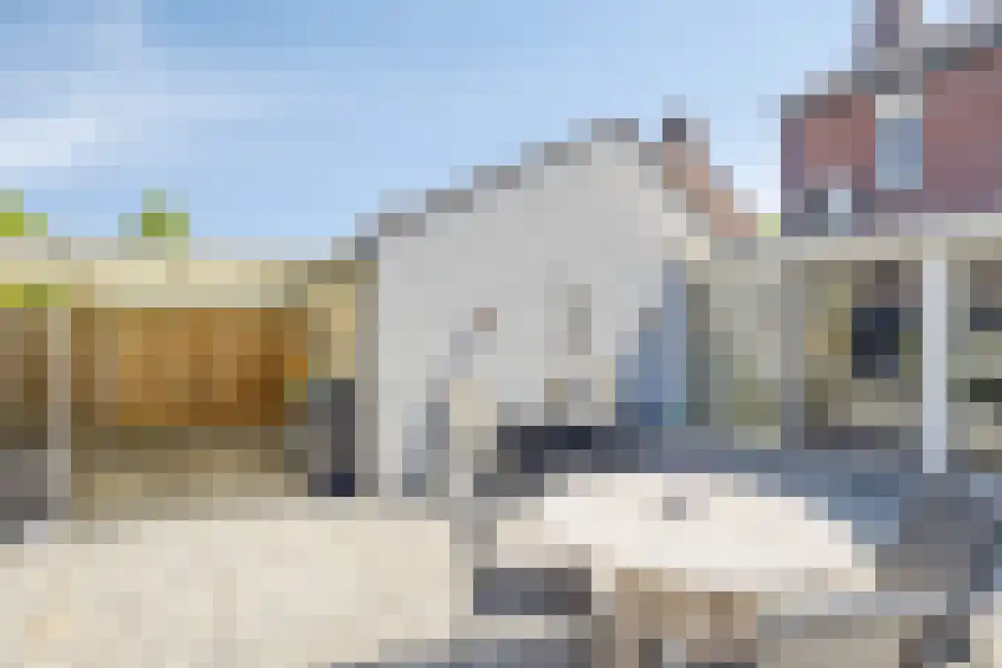 Leeg Bemden 10 Herten thumbnail 35