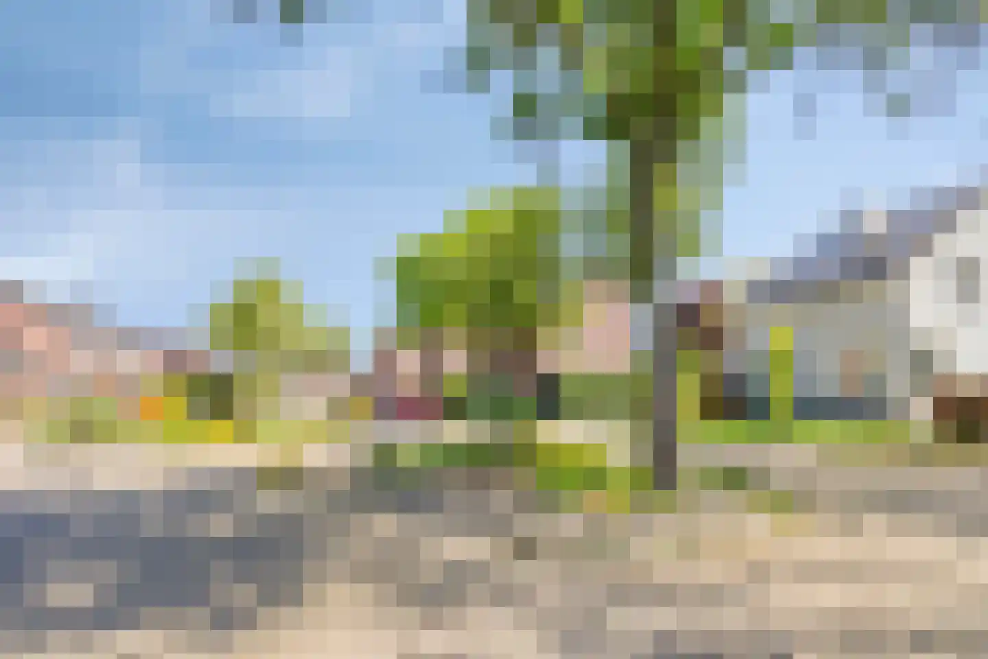 Leeg Bemden 10 Herten thumbnail 42
