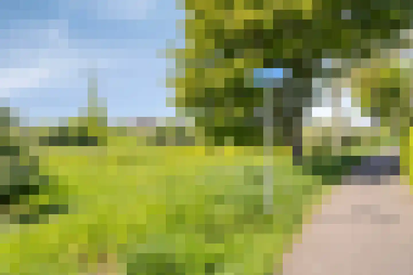 Leeg Bemden 10 Herten thumbnail 45