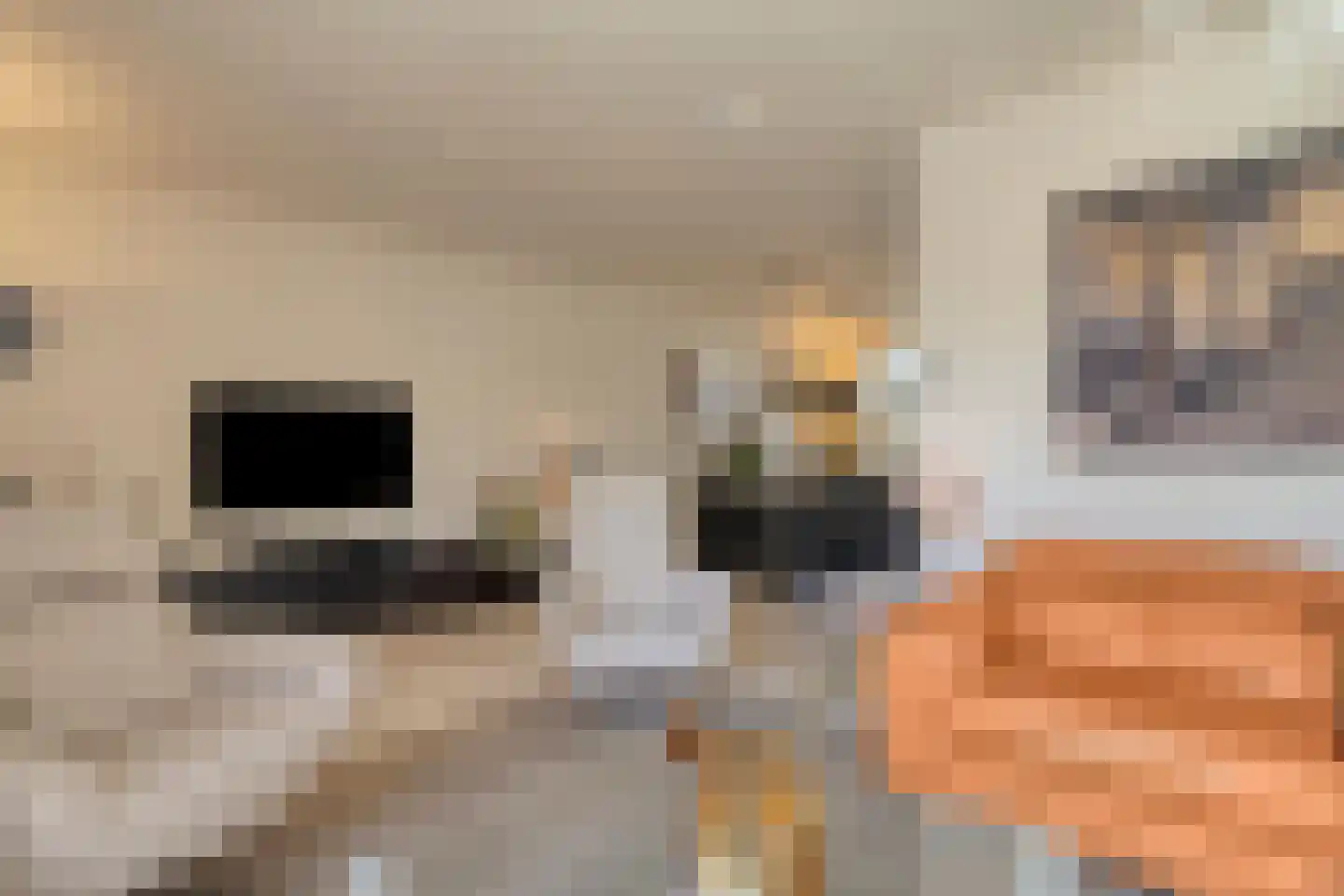 Leeg Bemden 10 Herten thumbnail 8