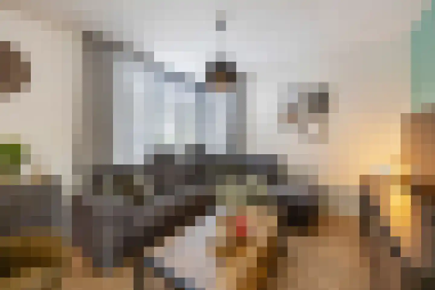 Leeg Bemden 4 Herten thumbnail 13