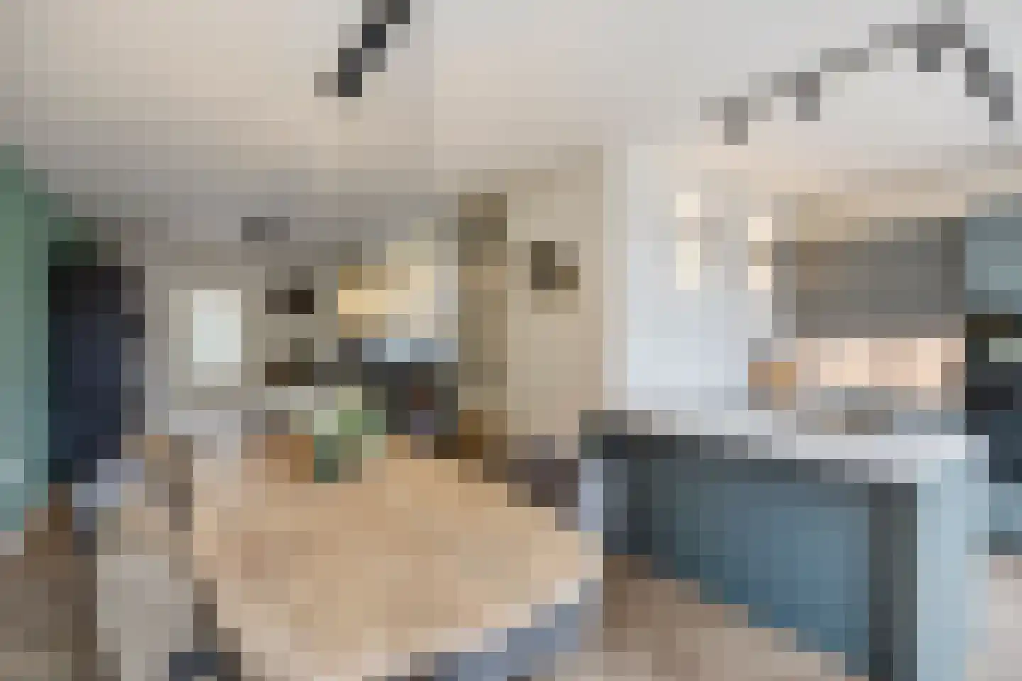 Leeg Bemden 4 Herten thumbnail 21