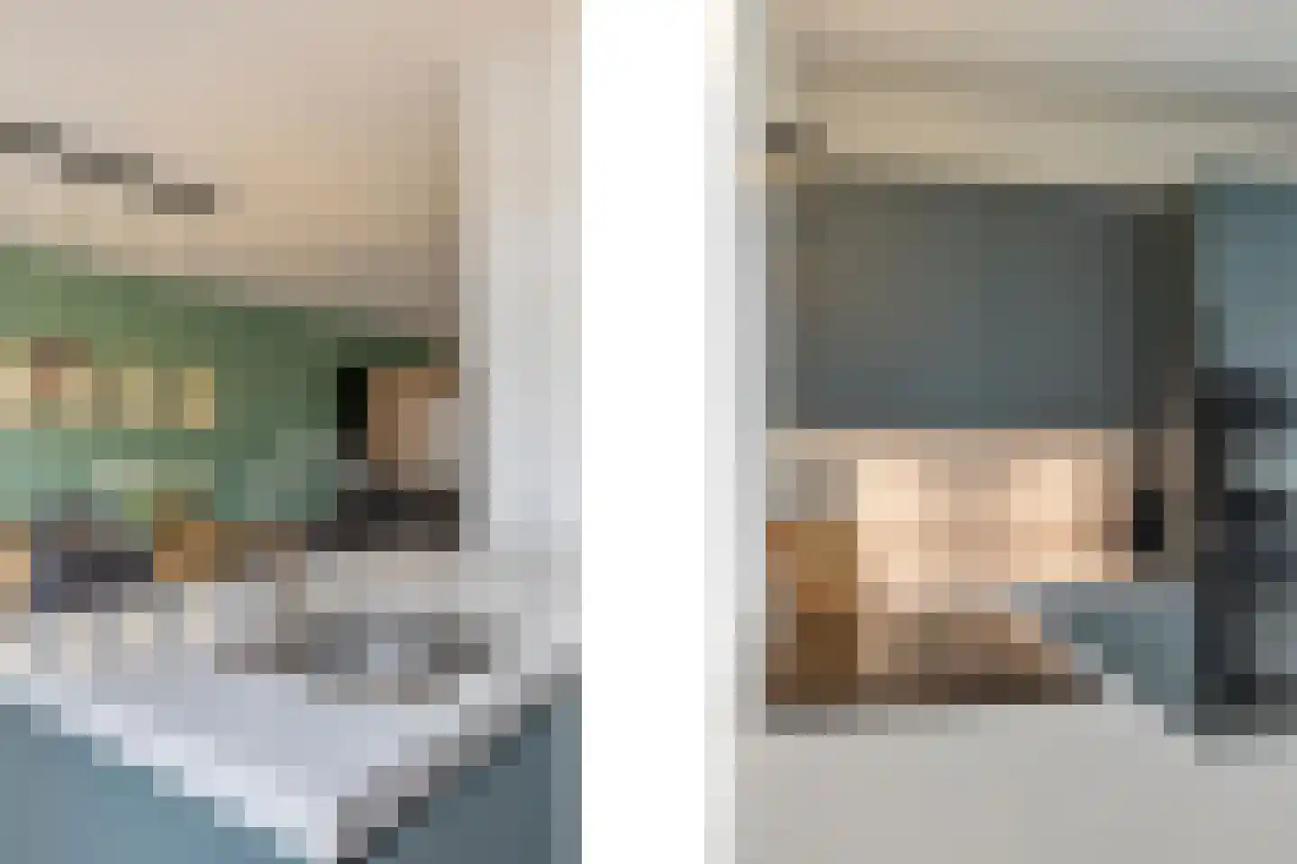 Leeg Bemden 4 Herten foto 3
