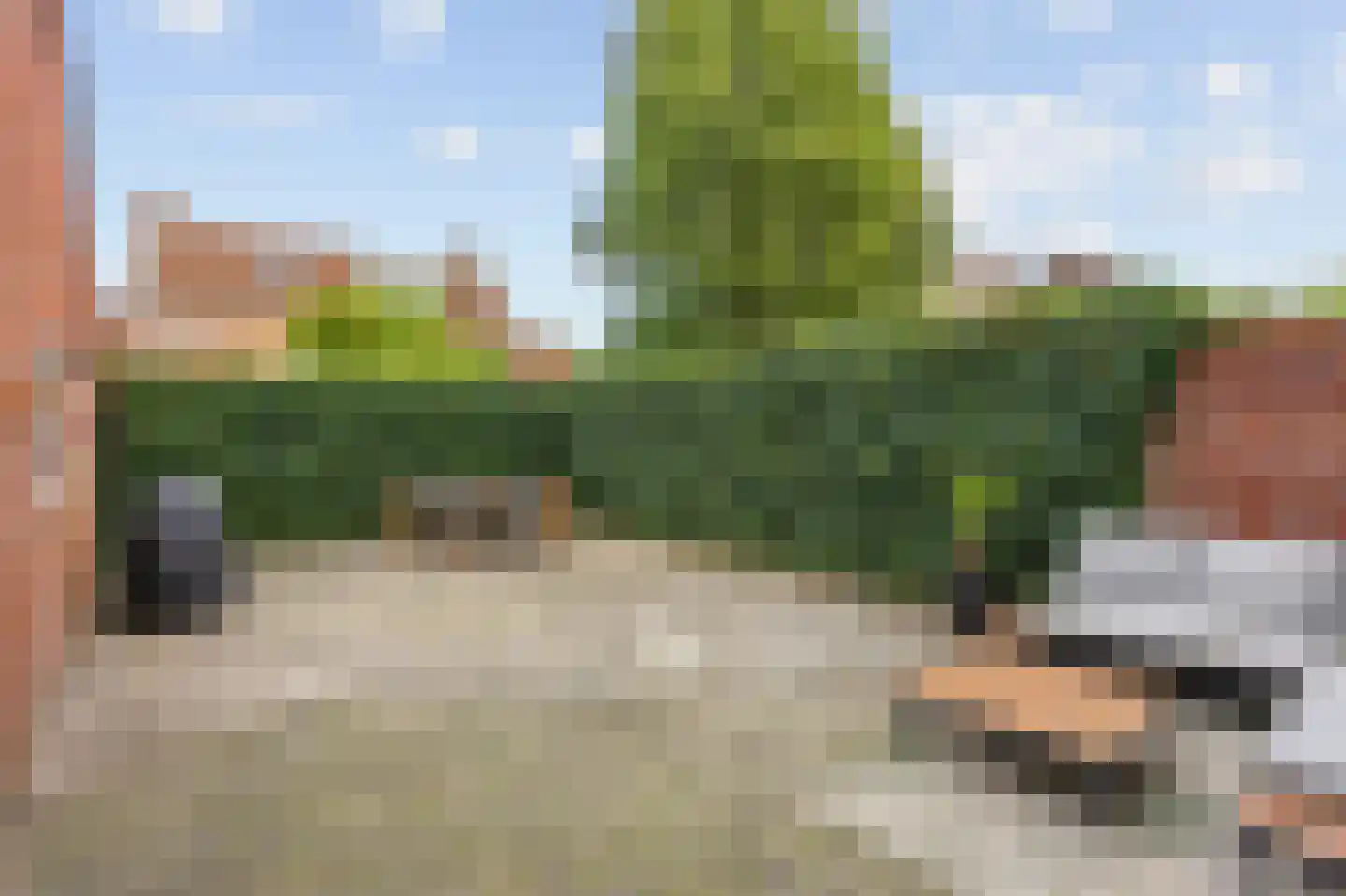 Leeg Bemden 4 Herten thumbnail 41