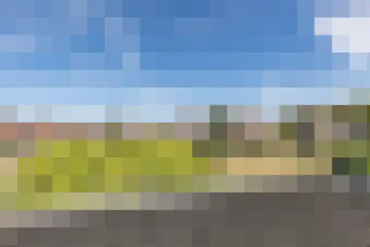 Leegeweg 1 11 Groningen thumbnail 41