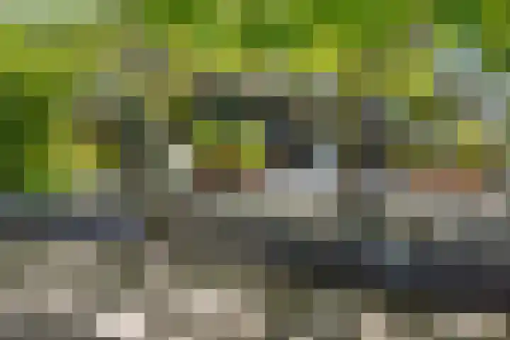 Leegeweg 1 11 Groningen thumbnail 46