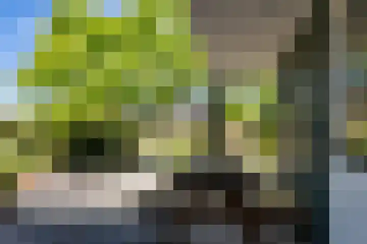 Leegeweg 1 11 Groningen thumbnail 47