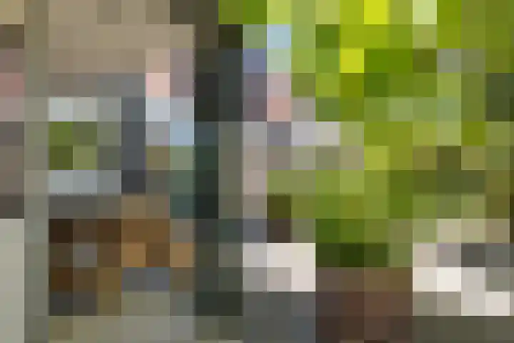 Leegeweg 1 11 Groningen thumbnail 50