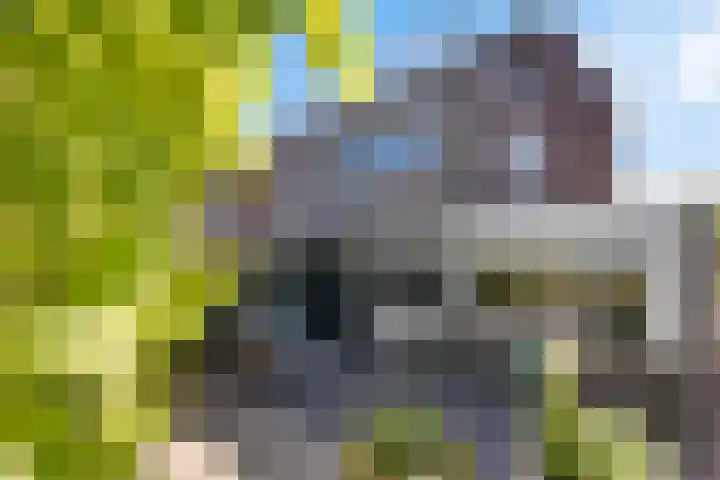 Leegeweg 1 11 Groningen thumbnail 51