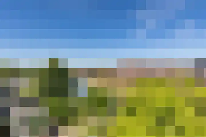 Leegeweg 1 11 Groningen thumbnail 52