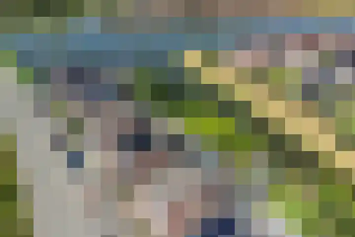 Leegeweg 1 11 Groningen thumbnail 54