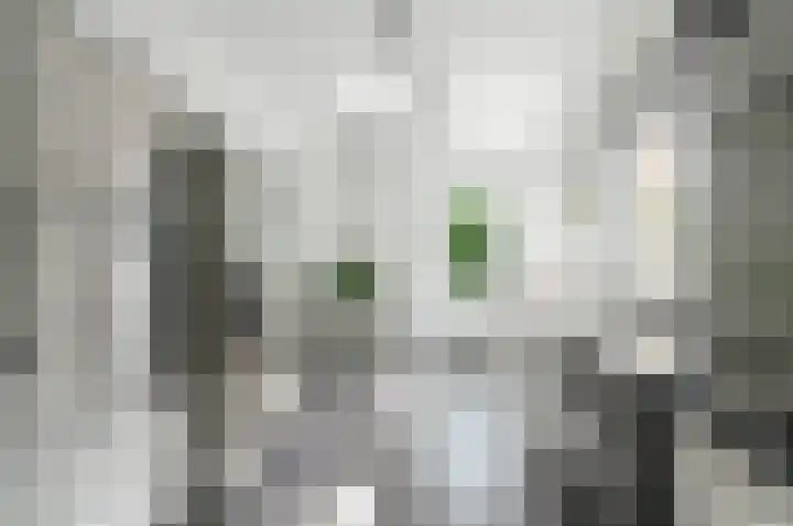Leegeweg 1 36 Groningen thumbnail 27