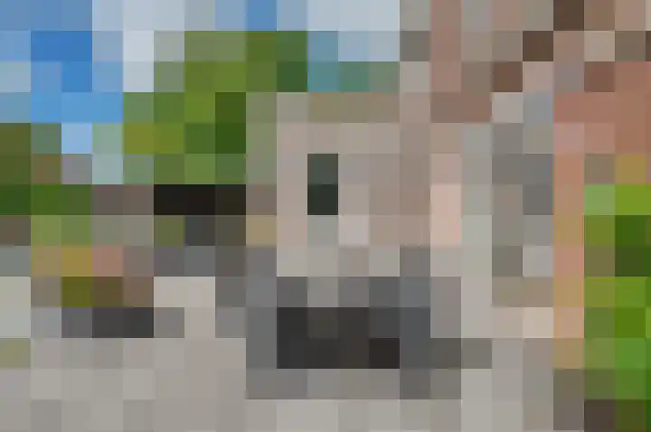 Leegeweg 1 36 Groningen thumbnail 44