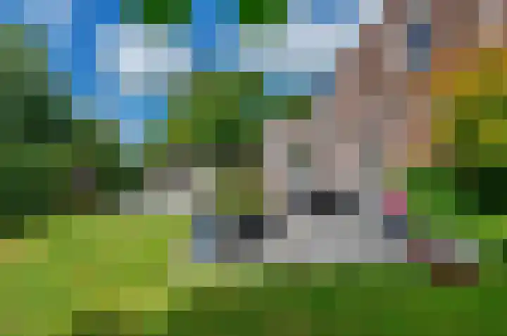 Leegeweg 1 36 Groningen thumbnail 51