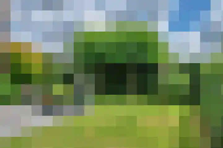 Leegeweg 1 36 Groningen thumbnail 52