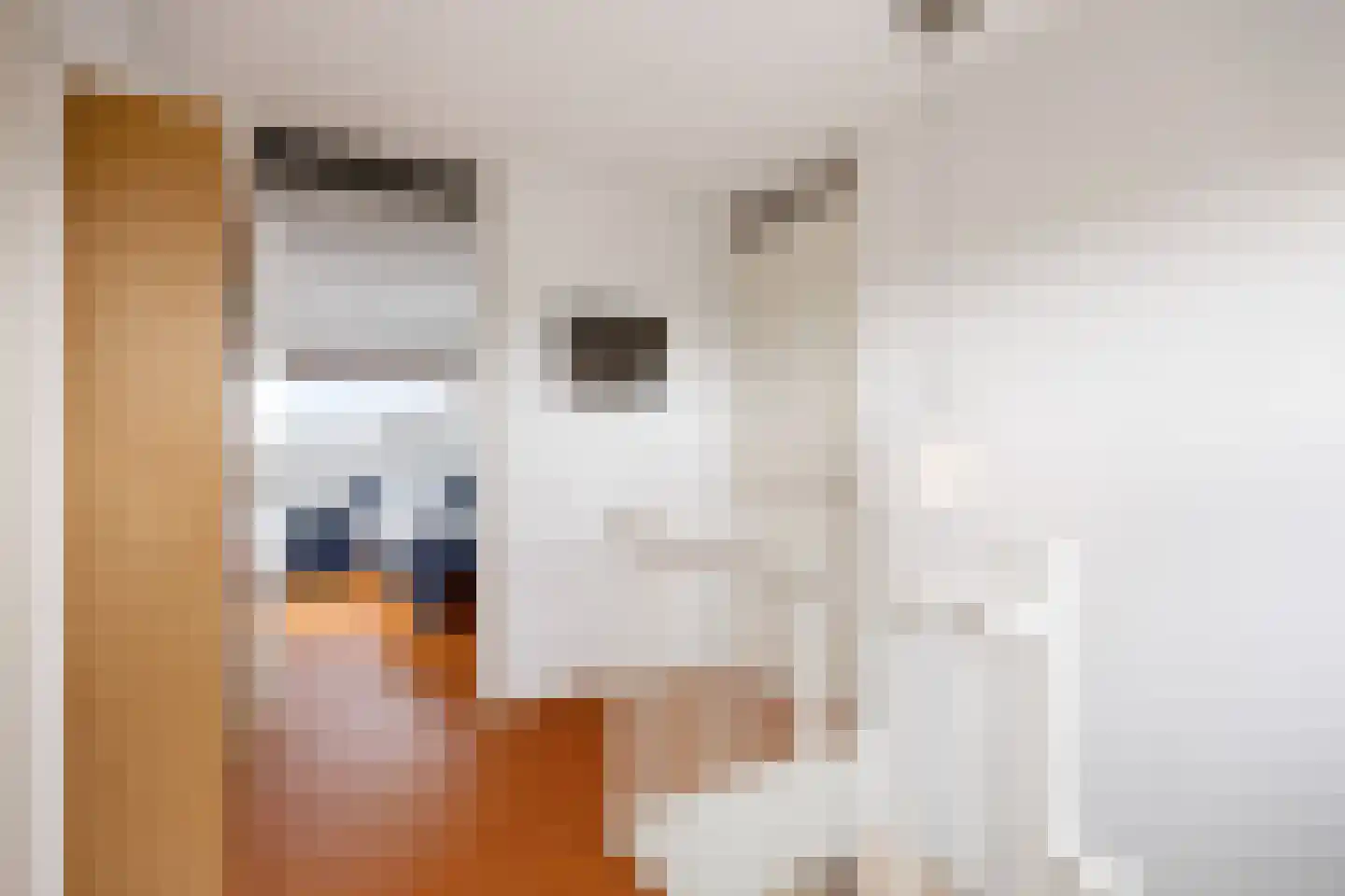 Leegeweg 1 44 Groningen thumbnail 43