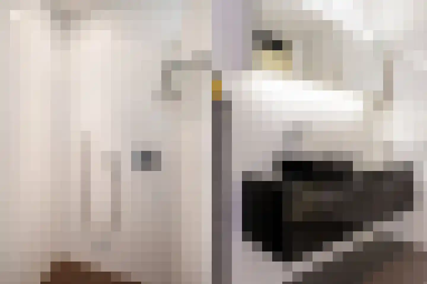 Leegeweg 1 44 Groningen thumbnail 50