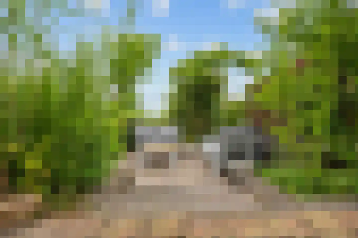 Leegeweg 1 44 Groningen thumbnail 66