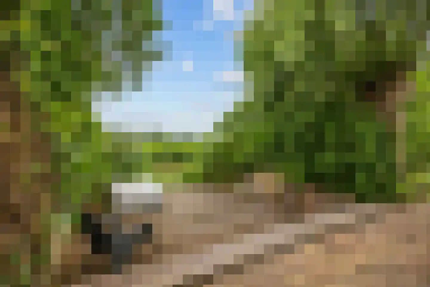 Leegeweg 1 44 Groningen thumbnail 70