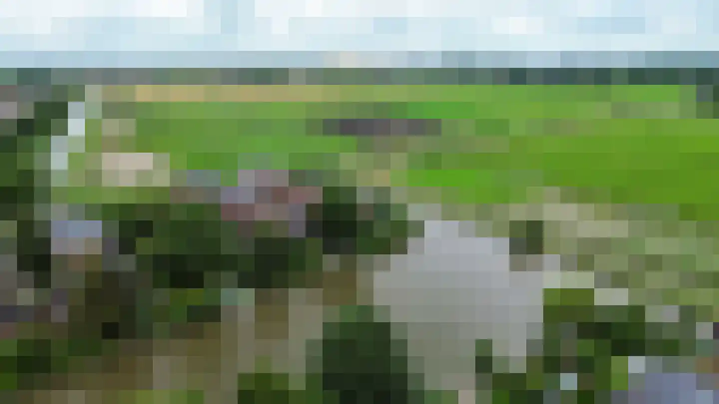 Leegeweg 1 44 Groningen thumbnail 72