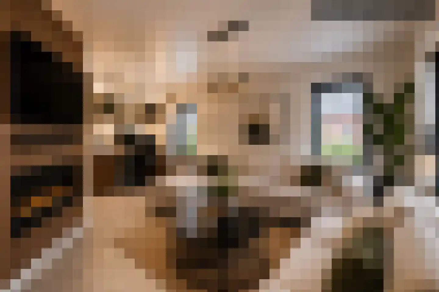 Leegeweg 13 Groningen thumbnail 14