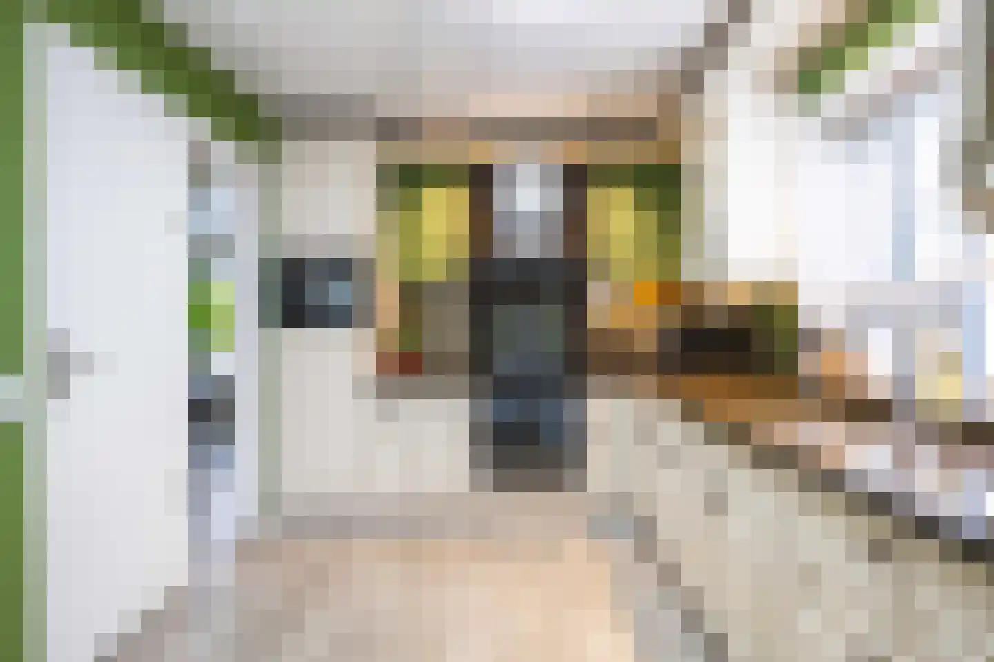 Leegeweg 13 Groningen thumbnail 18