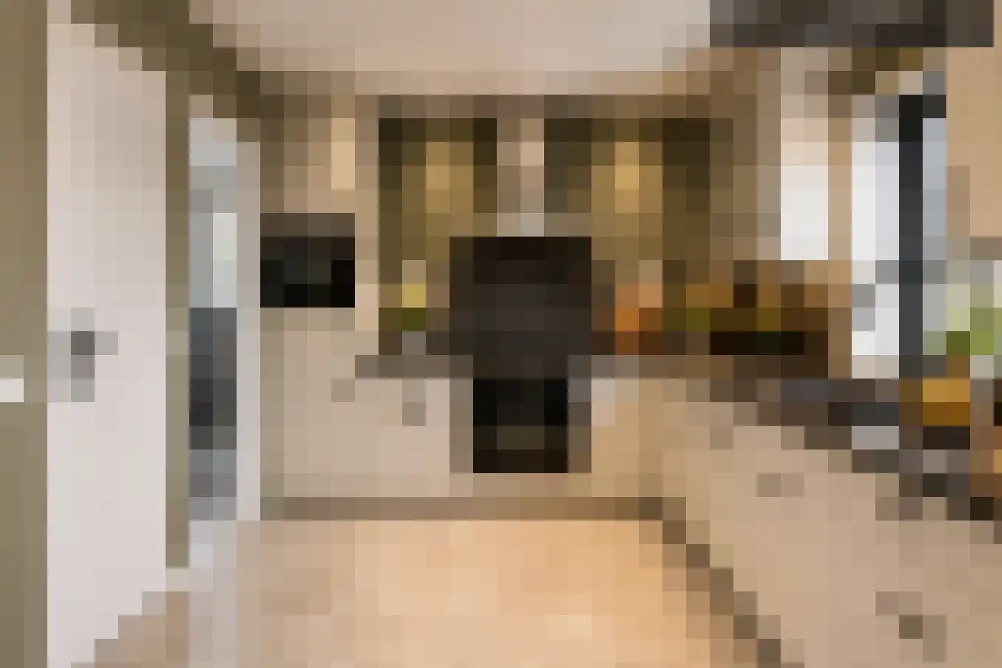 Leegeweg 13 Groningen thumbnail 19