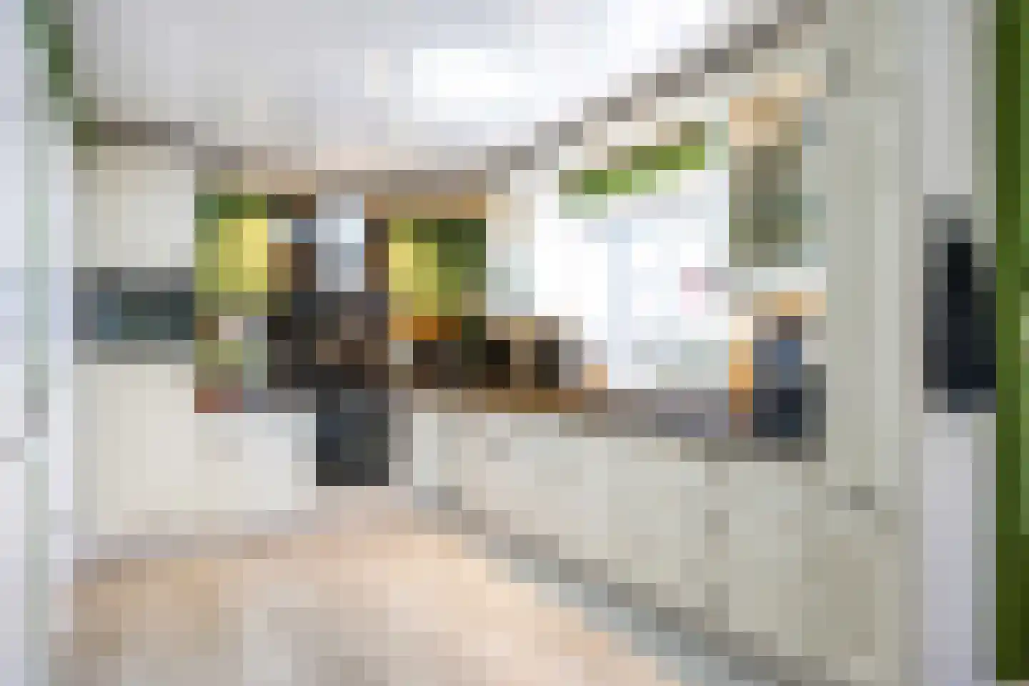 Leegeweg 13 Groningen thumbnail 20