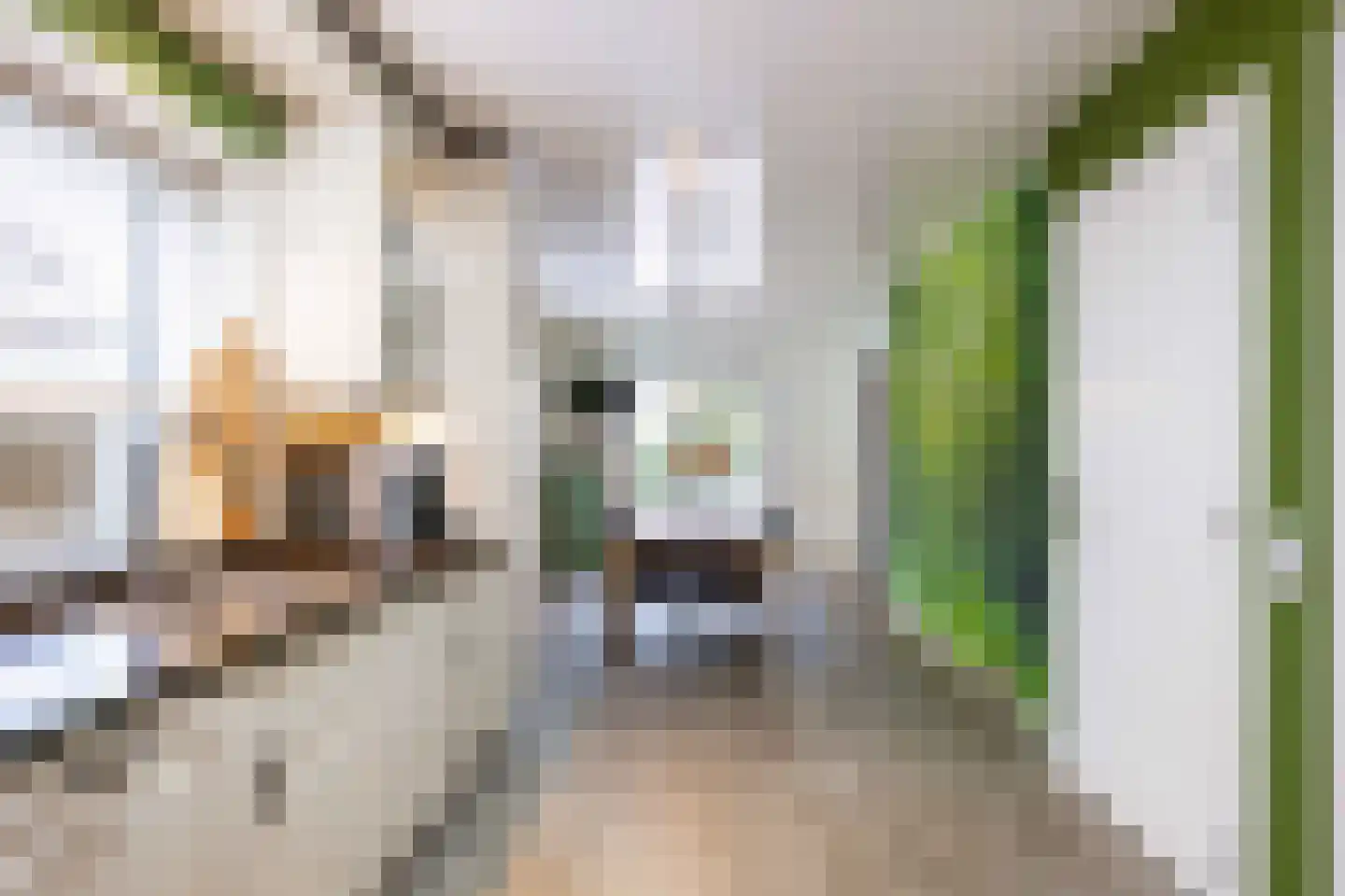 Leegeweg 13 Groningen thumbnail 22