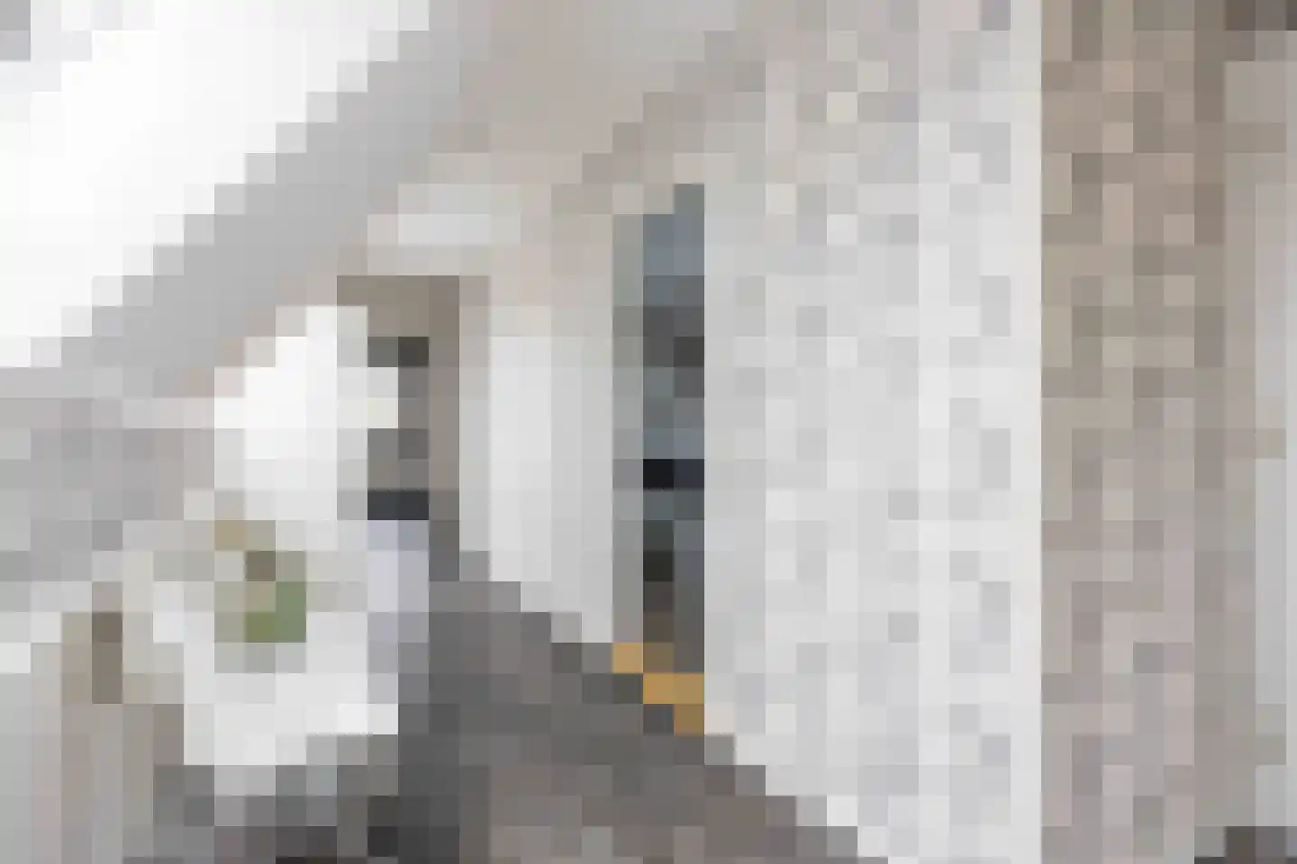 Leegeweg 13 Groningen thumbnail 31